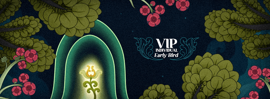 VIP Individual Early Bird
