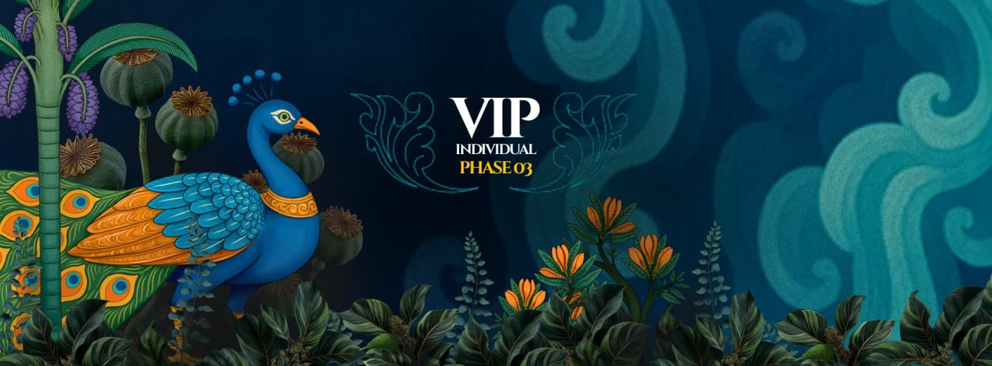 VIP Individual Phase 3